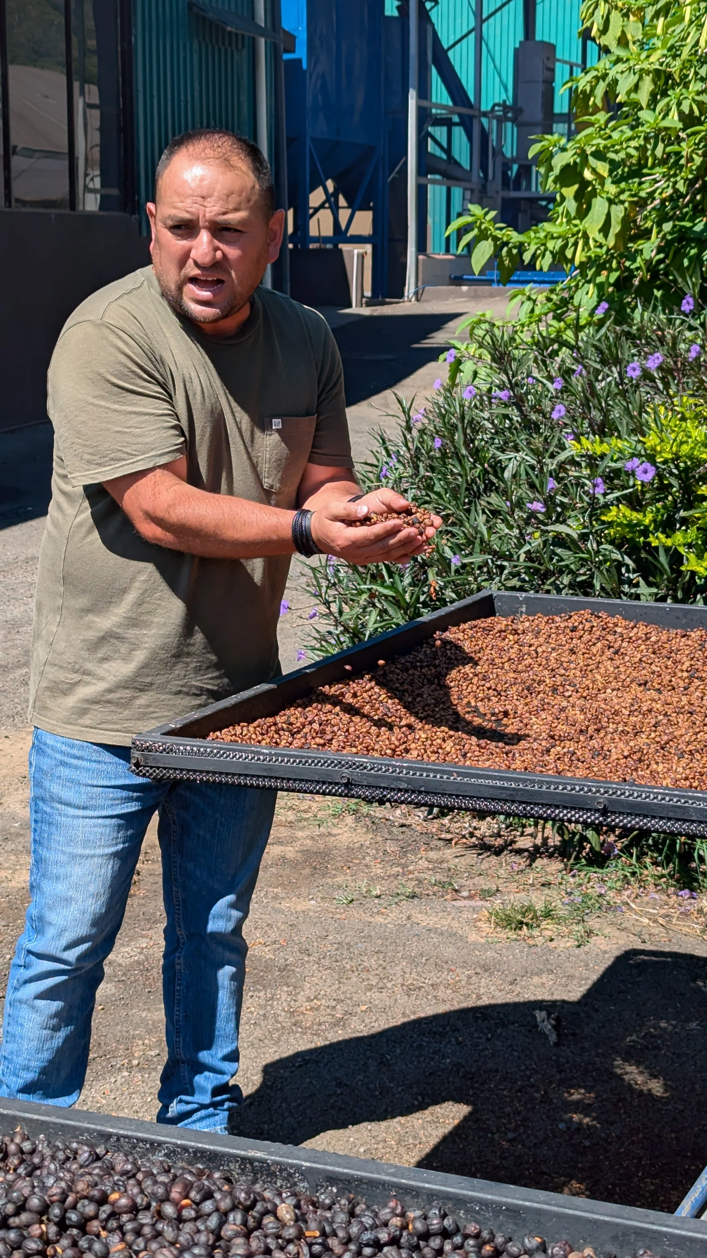 Costa Rica - Ivan Solis - Cuatro Vientos | Modulación Aromática Natural - Image 3