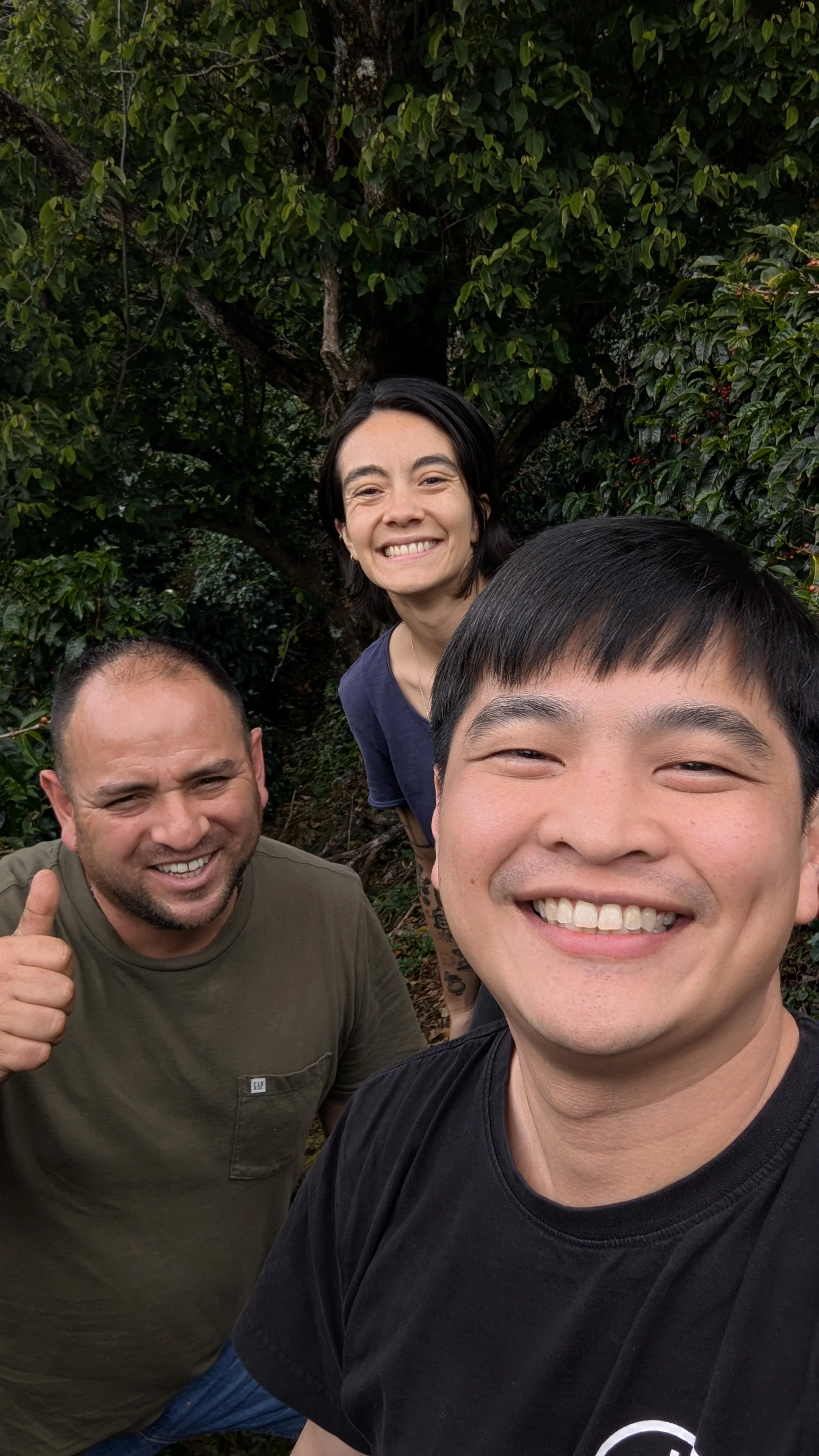 Costa Rica - Ivan Solis - Cuatro Vientos | Modulación Aromática Natural - Image 6